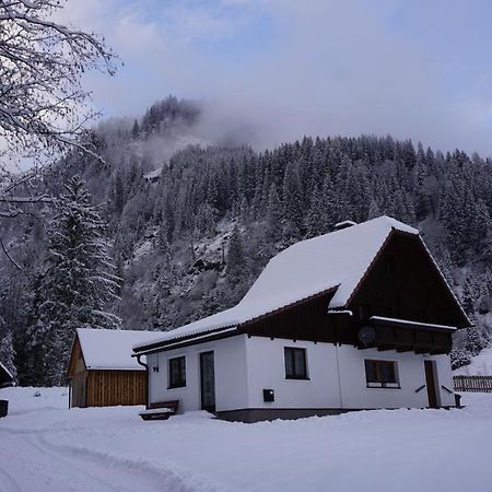 Vila Haus Cilli Donnersbachwald Exteriér fotografie
